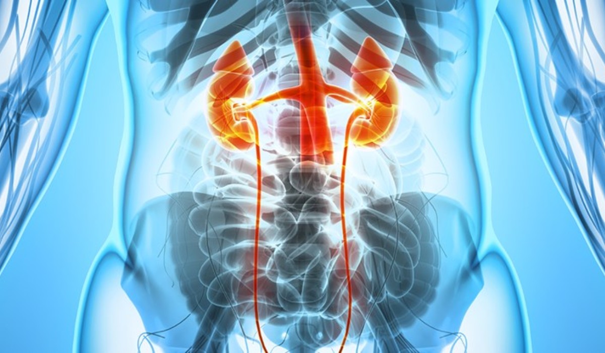 Urological Cancers 1